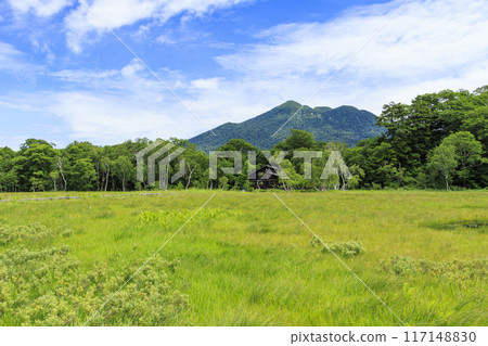 夏天尾瀨尾瀨原 夏天尾瀨尾瀨原 117148830