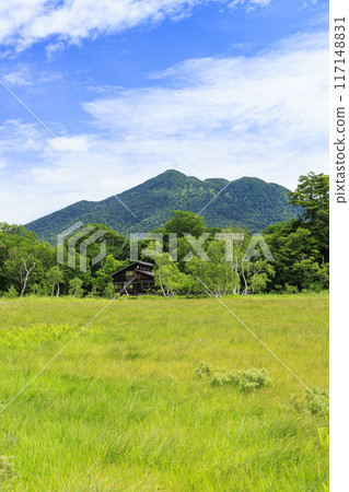 夏天尾瀨尾瀨原 117148831