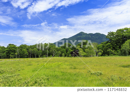 Summer Oze: Ozegahara Summer Oze: Ozegahara 117148832