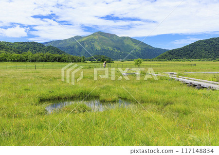 夏天尾瀨尾瀨原 夏天尾瀨尾瀨原 117148834