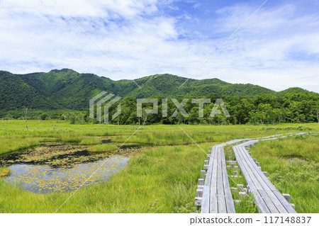 夏天尾瀨尾瀨原 夏天尾瀨尾瀨原 117148837