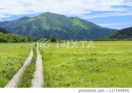 夏天尾瀨尾瀨原 117148840