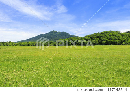 夏天尾瀨尾瀨原 夏天尾瀨尾瀨原 117148844