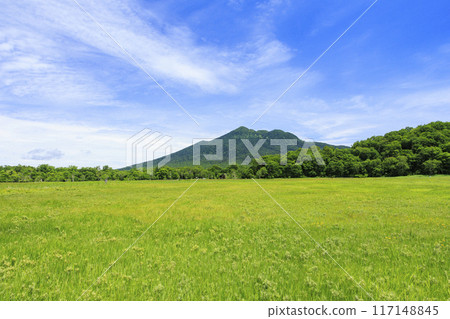 夏天尾瀨尾瀨原 117148845