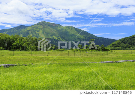 夏天尾瀨尾瀨原 117148846