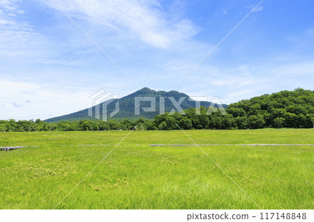 夏天尾瀨尾瀨原 夏天尾瀨尾瀨原 117148848