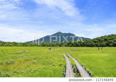 夏天尾瀨尾瀨原 夏天尾瀨尾瀨原 117148849