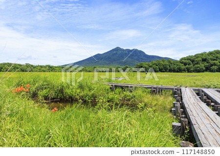 夏天尾瀨尾瀨原 夏天尾瀨尾瀨原 117148850
