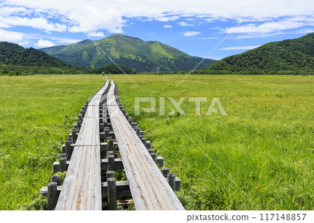 夏天尾瀨尾瀨原 夏天尾瀨尾瀨原 117148857