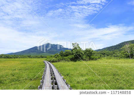 夏天尾瀨尾瀨原 117148858