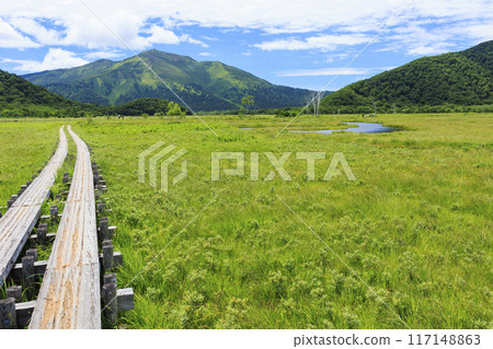 夏天尾瀨尾瀨原 夏天尾瀨尾瀨原 117148863
