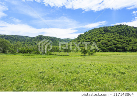 夏天尾瀨尾瀨原 117148864