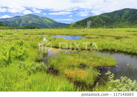 夏天尾瀨尾瀨原 117148865