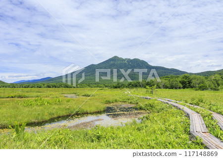 夏天尾瀨尾瀨原 117148869