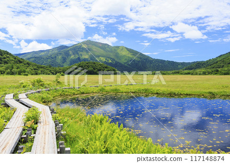 夏天尾瀨尾瀨原 117148874