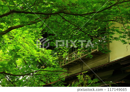 岩手縣清新的綠色風景 岩手縣清新的綠色風景 117149085