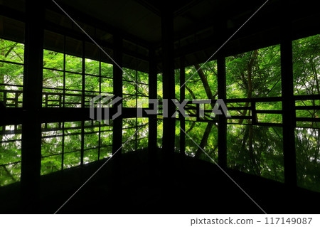 Iwate Prefecture: Fresh green scenery Iwate Prefecture: Fresh green scenery 117149087