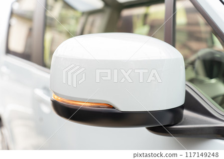 Turn signal mirror for light vehicles 117149248