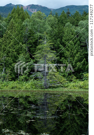 乘鞍高原牛留池風景 117149277