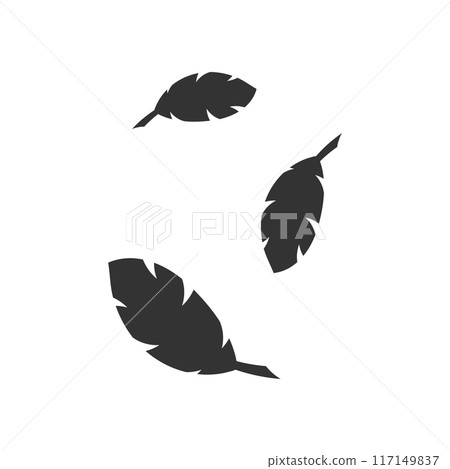 黑羽毛 117149837