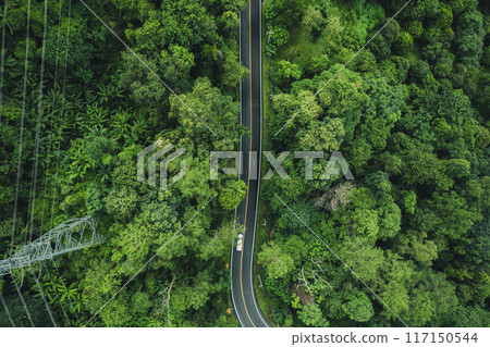 Top view of green forest road, green travel and transportation,Drone images of roads and green forests Top view of green forest road, green travel and transportation,Drone images of roads and green forests 117150544