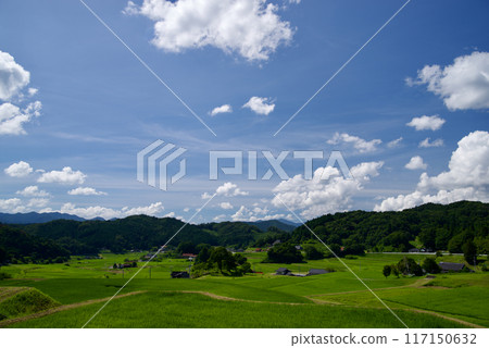 夏天的天空,藍天,白雲,里山,複製空間 夏天的天空,藍天,白雲,里山,複製空間 117150632