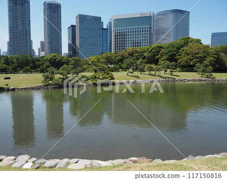 Hama-rikyu Gardens in early summer surrounded by skyscrapers 117150816