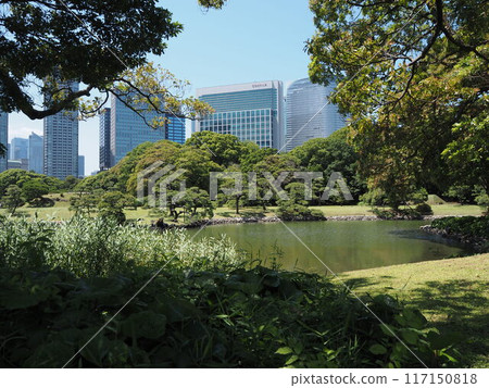 Hama-rikyu Gardens in early summer surrounded by skyscrapers 117150818