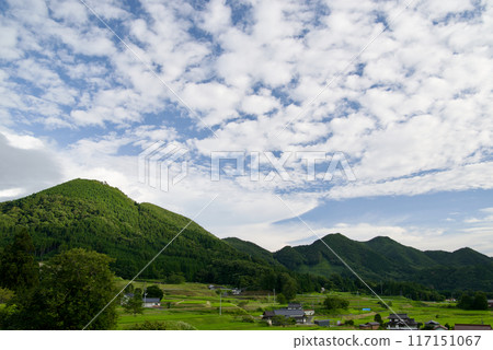Summer sky, sky, clouds, copy space, weather 117151067