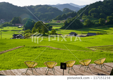 Mikawauchi Rice Terrace Terrace Satoyama Rice Terrace Summer Green Rice Leaves Mikawauchi Rice Terrace Terrace Satoyama Rice Terrace Summer Green Rice Leaves 117151238