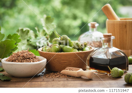 Healthy oak bark in ceramic bowl, infusion or tincture bottle, wooden bowl of acorns. Mortar, green oak leaves on background. Alternative herbal medicine. 117151947