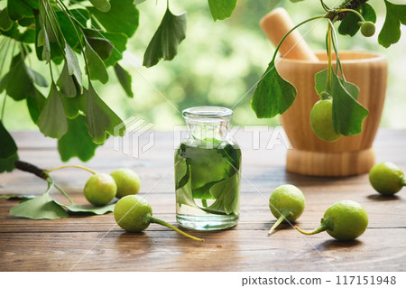 Bottle of ginkgo biloba infusion, tincture or extract. Healthy ginkgo biloba essential oil or serum, leaves and ginkgo fruits on wooden table outdoors. Alternative herbal medicine. Health care. 117151948