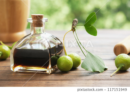 Bottle of ginkgo biloba infusion, tincture or extract. Healthy ginkgo leaves and fruits on wooden table outdoors. Alternative herbal medicine. Health care. 117151949