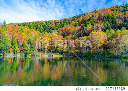 [Autumn leaves material] Autumn leaves of Shiga Highlands and Kido Pond in autumn [Nagano Prefecture] 117152689