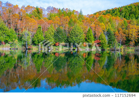 [Autumn leaves material] Autumn leaves of Shiga Highlands and Kido Pond in autumn [Nagano Prefecture] 117152694