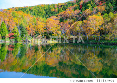 [Autumn leaves material] Autumn leaves of Shiga Highlands and Kido Pond in autumn [Nagano Prefecture] 117152695
