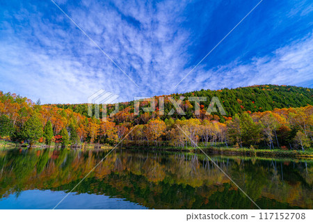 [Autumn leaves material] Autumn leaves of Shiga Highlands and Kido Pond in autumn [Nagano Prefecture] 117152708