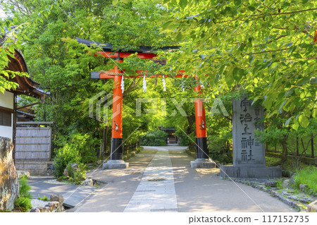 Torii gate at Ujikami Shrine in Uji, Kyoto 117152735