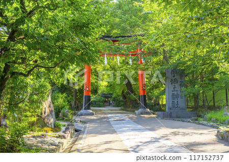 Torii gate at Ujikami Shrine in Uji, Kyoto 117152737