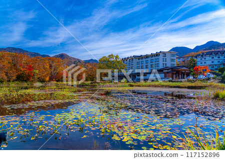 [紅葉素材] 滋賀高原和荷花池的紅葉[長野縣] 117152896
