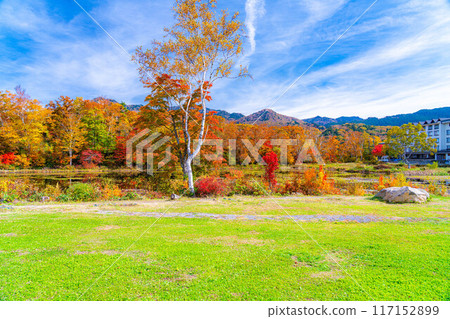 [紅葉素材] 滋賀高原和荷花池的紅葉[長野縣] 117152899