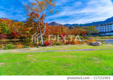 [紅葉素材] 滋賀高原和荷花池的紅葉[長野縣] 117152903