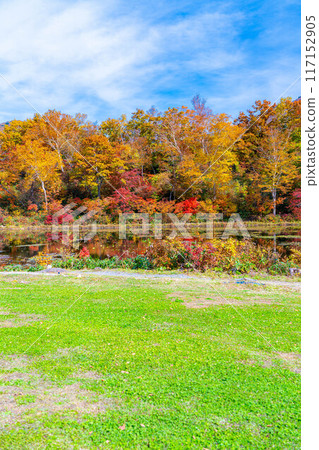 [Autumn leaves material] Autumn leaves of Shiga Highlands and Lotus Pond [Nagano Prefecture] 117152905