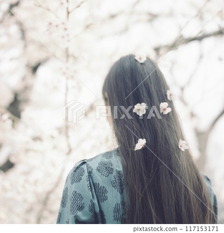 Back view of a long-haired woman playing with cherry blossoms on paper Back view of a long-haired woman playing with cherry blossoms on paper 117153171