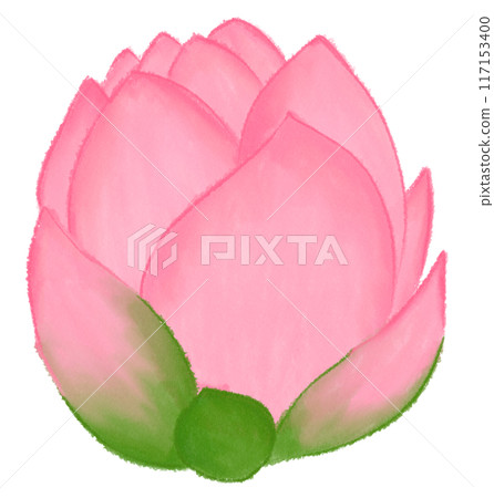 Pink lotus Pink lotus 117153400