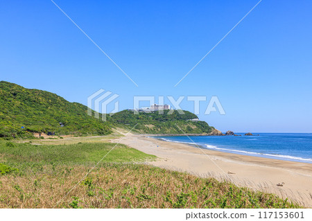 Koijigahama Beach at Cape Irago, Tahara City, Aichi Prefecture 117153601