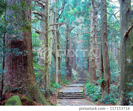 "World Cultural Heritage" Daimonzaka in Mount Koya / Kumano Kodo and Nakahechi / Sacred Sites and Pilgrimage Routes in the Kii Mountain Range 117153716
