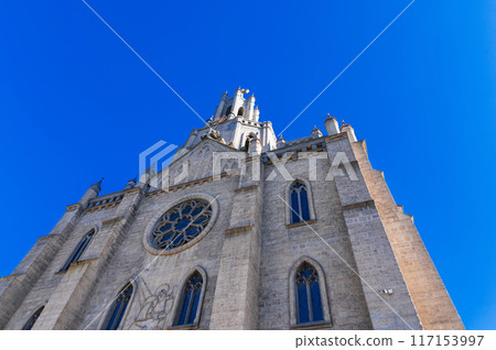 tower and spire of the gothic old ancient Catholic Cathedral. Polish Church Cathedral of the Sacred Heart of Jesus in Tashkent in Uzbekistan 117153997