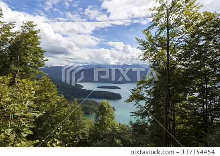 View to Walchensee lake, Bavaria, Germany in summertime 117154454