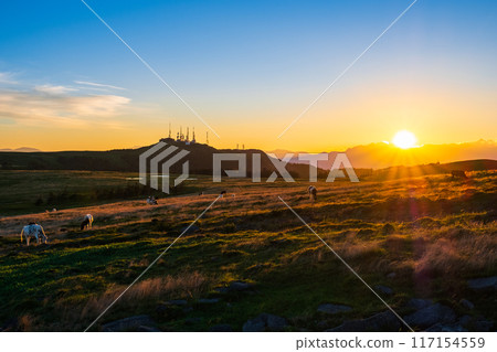 美原/日落景觀 117154559